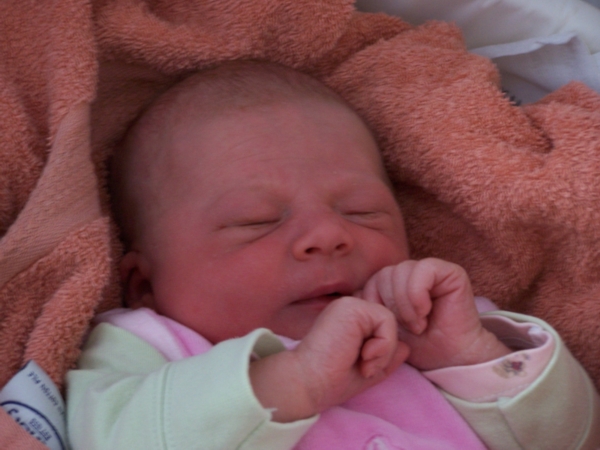 Bild von Felicitas Wagner