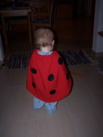 als Marienk&auml;fer bin ich kaum noch zu erkennen, oder?